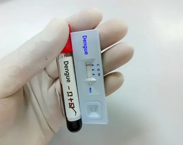 TEST